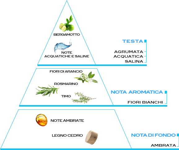 piramide olfattiva